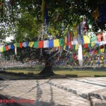 Lumbini one of the place you should visit once
