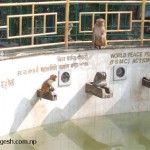 Swayambhunath Temple and mischief entertaining monkeys
