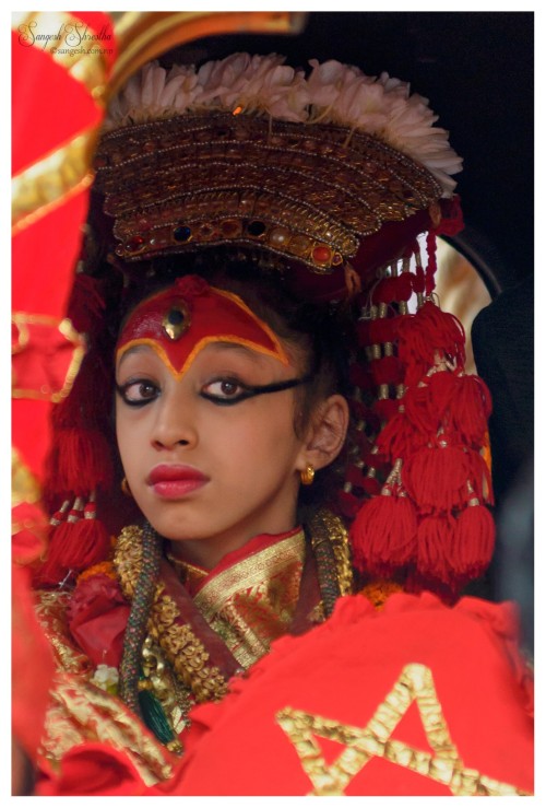 Indra-Jatra-2074-9982.jpg